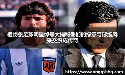 天博TB·体育登录入口